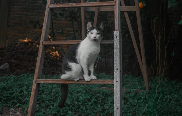 Différences entre la première et la deuxième liste de maternité
